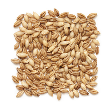 BARLEY HULLED BERRIES OG CHAMPLAIN 25 LBS
