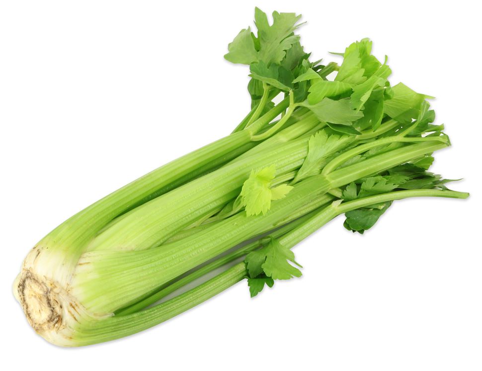 CELERY OG BULK P 30 CT