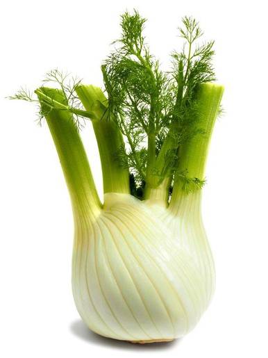 FENNEL OG BULK P 12 CT