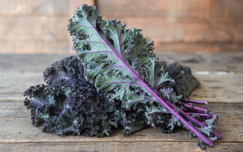 KALE RED OG BULK P 24 CT