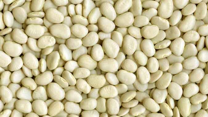LIMA BABY WHITE OG BULK 25 LBS