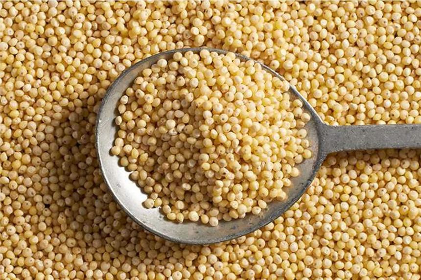 MILLET OG BULK 25 LBS
