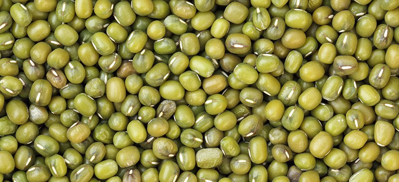 MUNG OG BULK 25 LBS