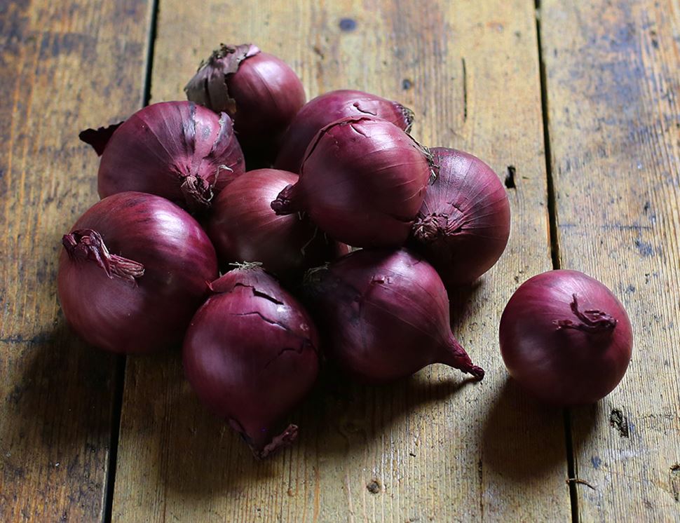 red onion tor red onion tor