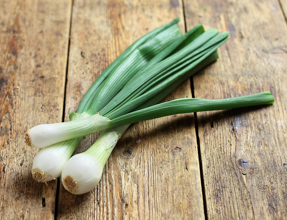 ONIONS SCALLION OG BULK P 48 CT