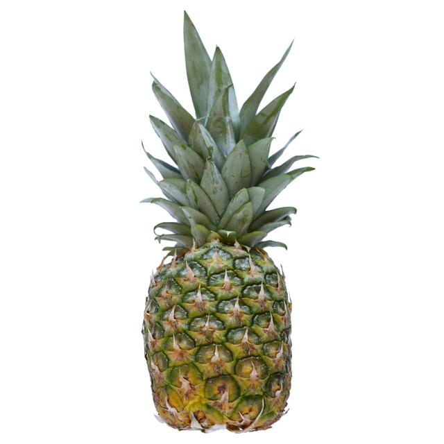 PINEAPPLES OG BULK P 5-9 CT