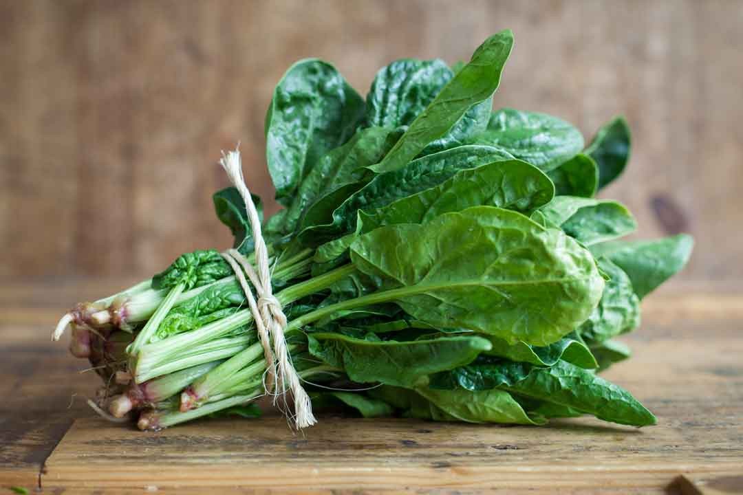 SPINACH BUNCHED OG BULK P 24 CT