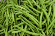 BEANS GREEN OG BULK P 10 LBS