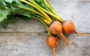 BEETS GOLD OG BULK P 25 LBS