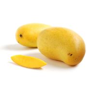 MANGO ATAULFO OG BULK P 11-18 CT