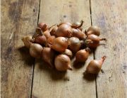ONIONS SHALLOTS OG BULK P 5 LBS