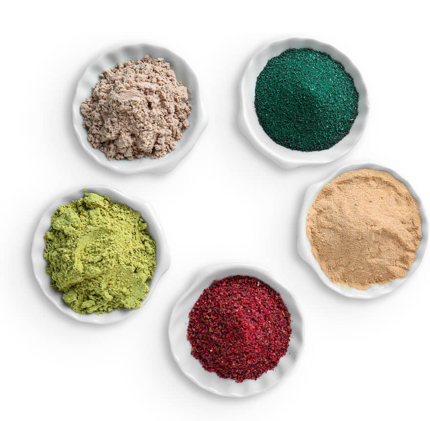 Natural & Organic Wholesale Food Distributor New York City