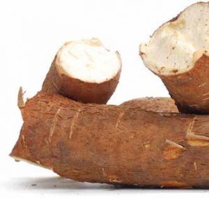 What S The Difference Between Tapioca And Cassava Flour Ace Natural